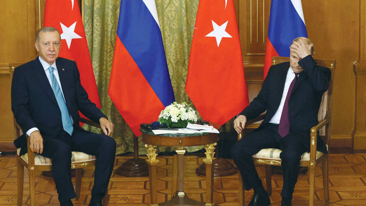 Erdogan and Putin